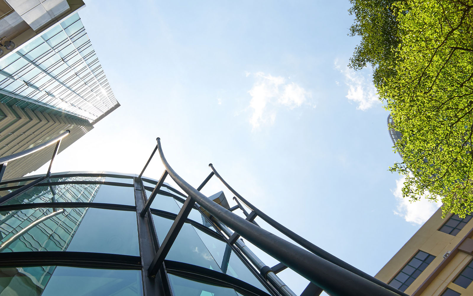 Photo of buildings and a tree.